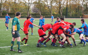5644f26907128_P1010103.JPG