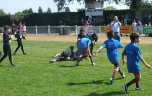 57456a1154f96_photo18.JPG