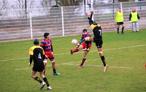 les Cougars s'inclinent chez le leader (photos)