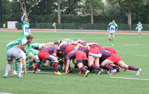 PUTEAUX RUGBY- RUGBY SUD 77