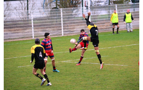 les Cougars s'inclinent chez le leader Athis-Mons (photos)